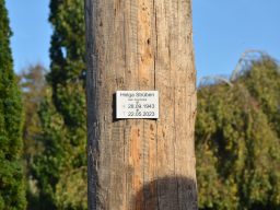 Gedenkplakette am Dalben