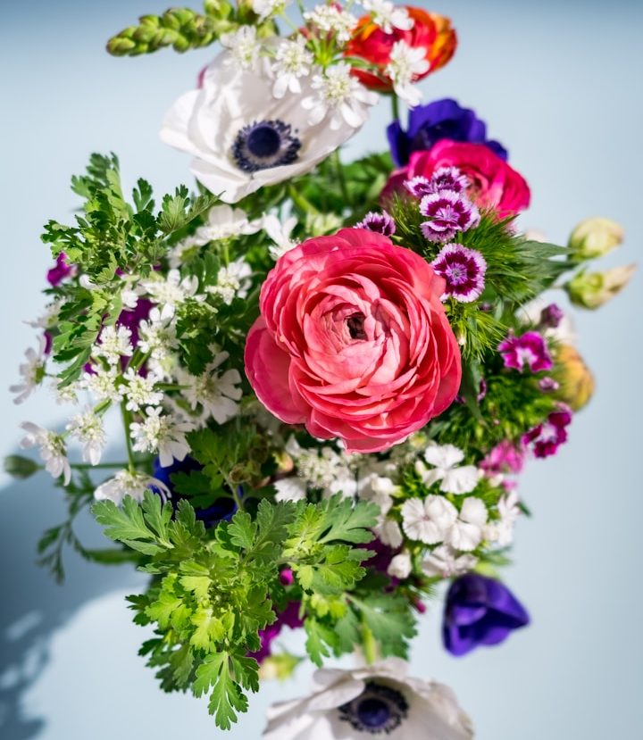 Bunte Blumenarrangement mit Gelb, Lila und Weiß in einer grünen Umgebung.