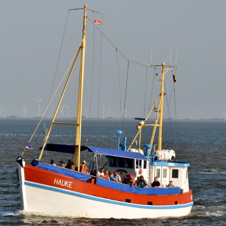 Die MS Hauke in Fahrt